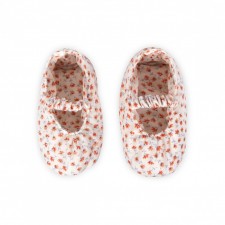 Slippers orange flower