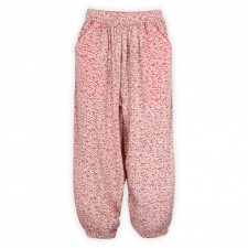Pant little pink flower